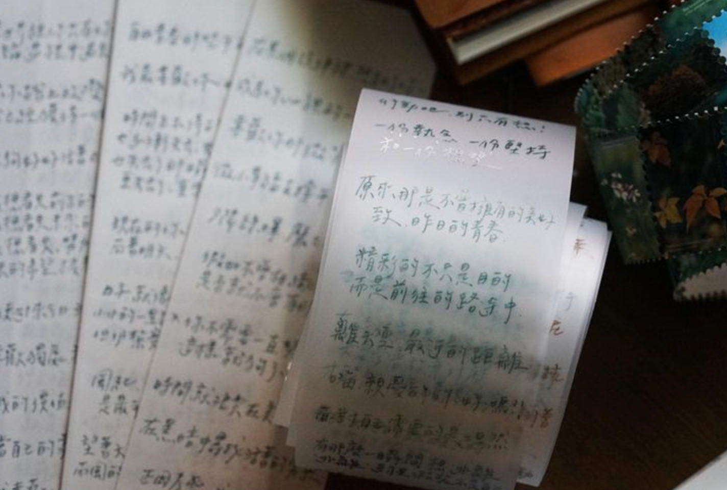 Lihaopaper PET Tape - Words of Daily Life