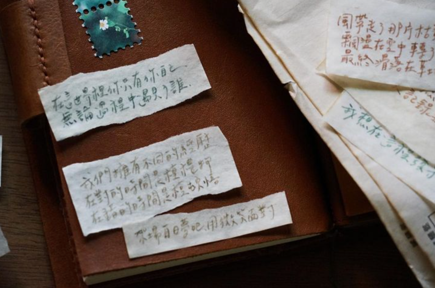 Lihaopaper PET Tape - Words of Daily Life