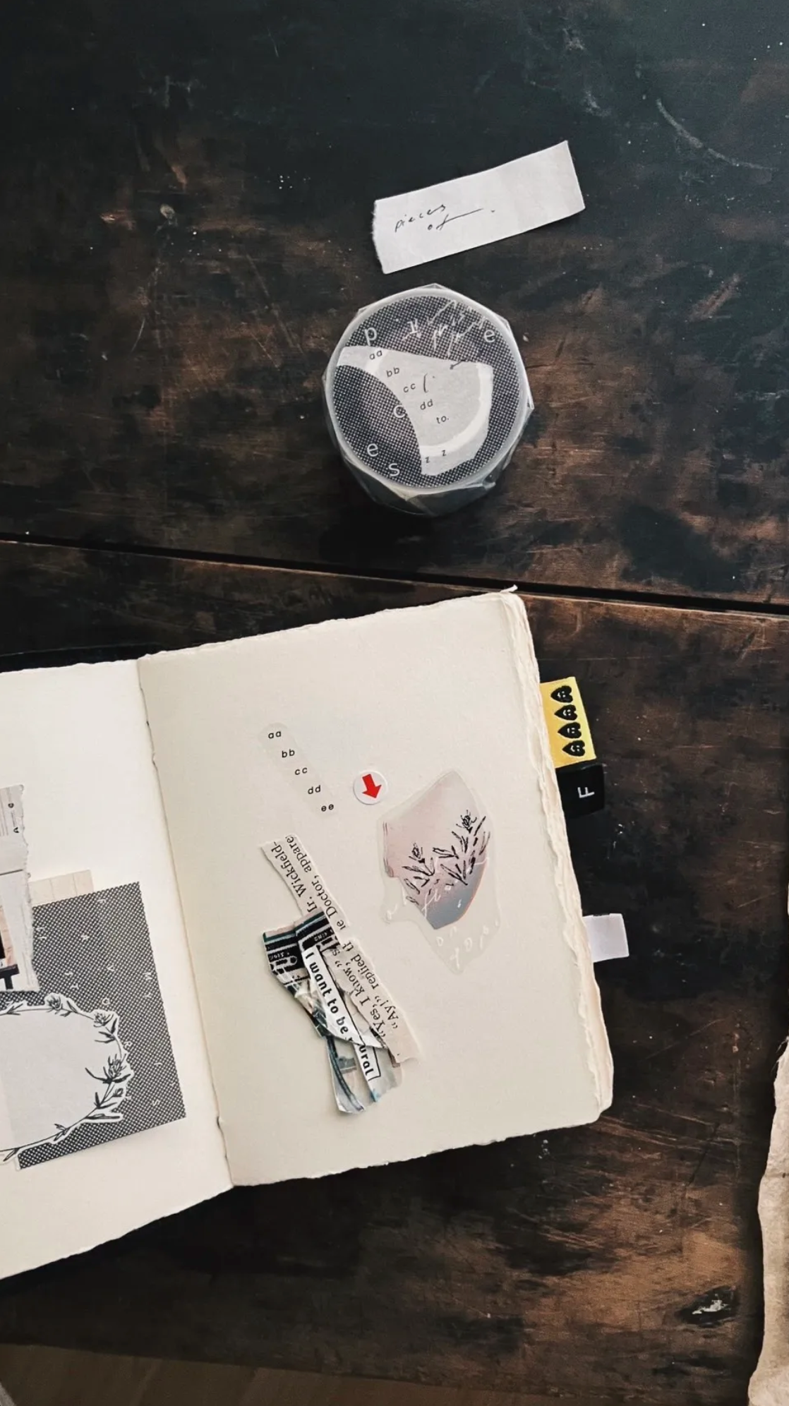 somesortof.fern PET Tape - Pieces of