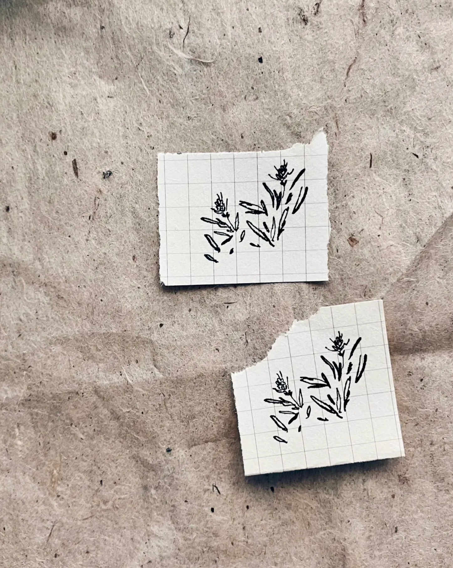 Somesortof.fern Rubber Stamps - Letters and Blooms