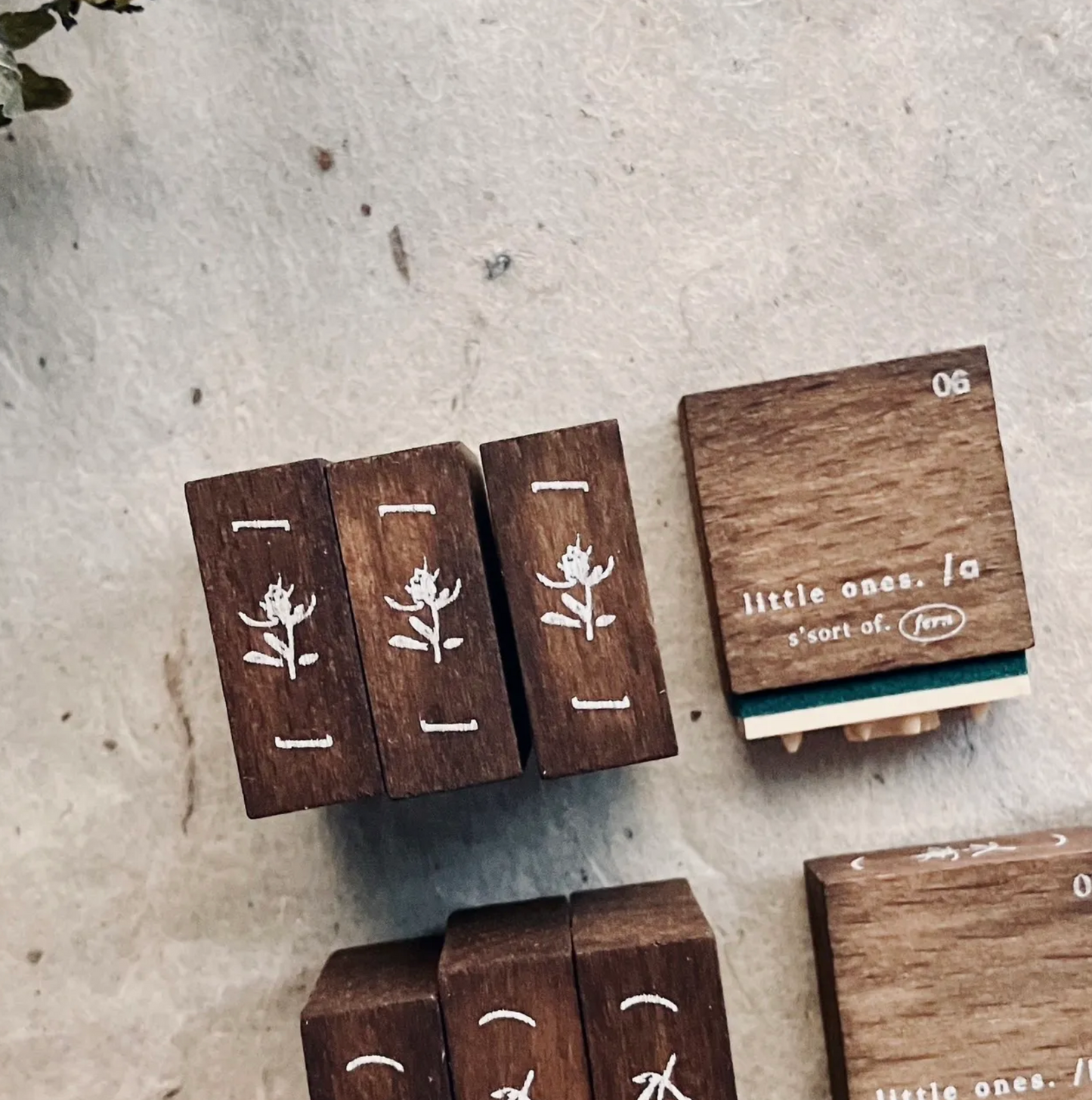 Somesortof.fern Rubber Stamps - Letters and Blooms