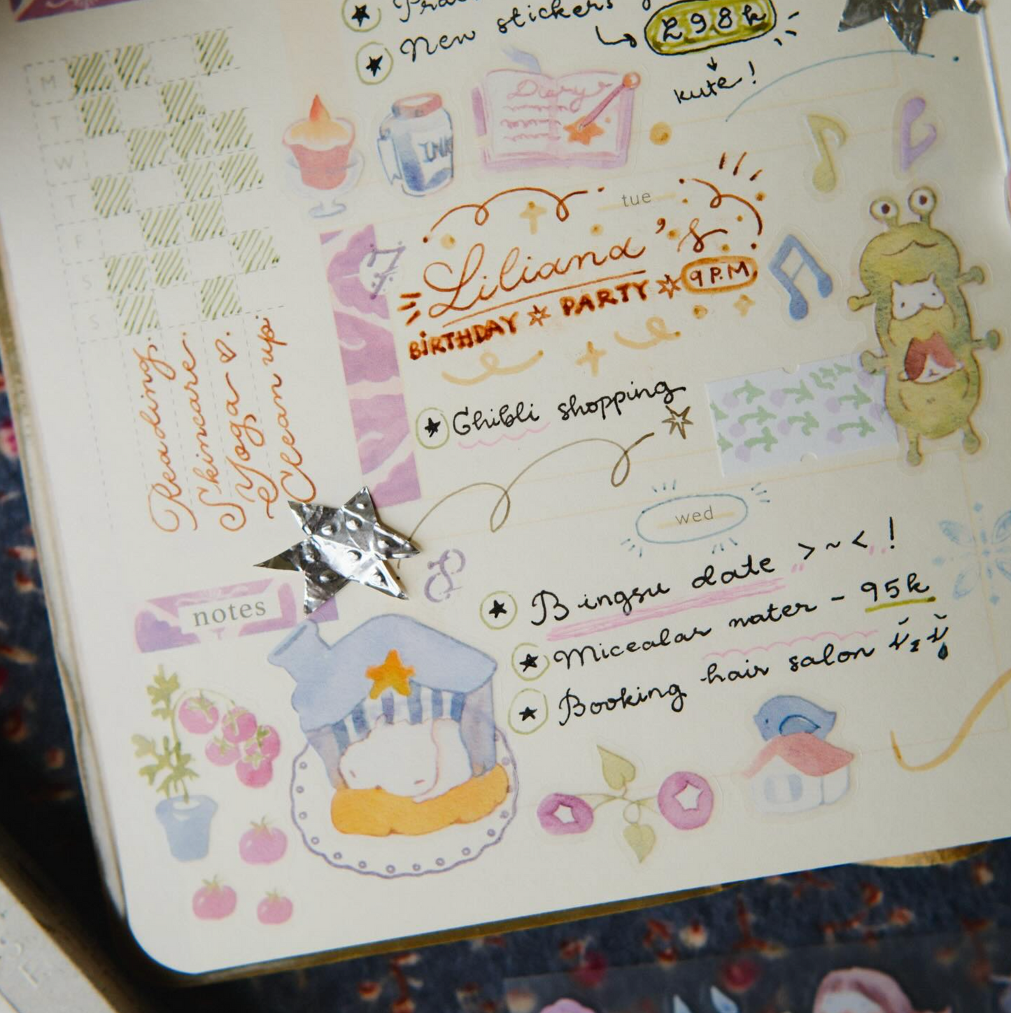 Teayou PET Tape - Reading Sleeping