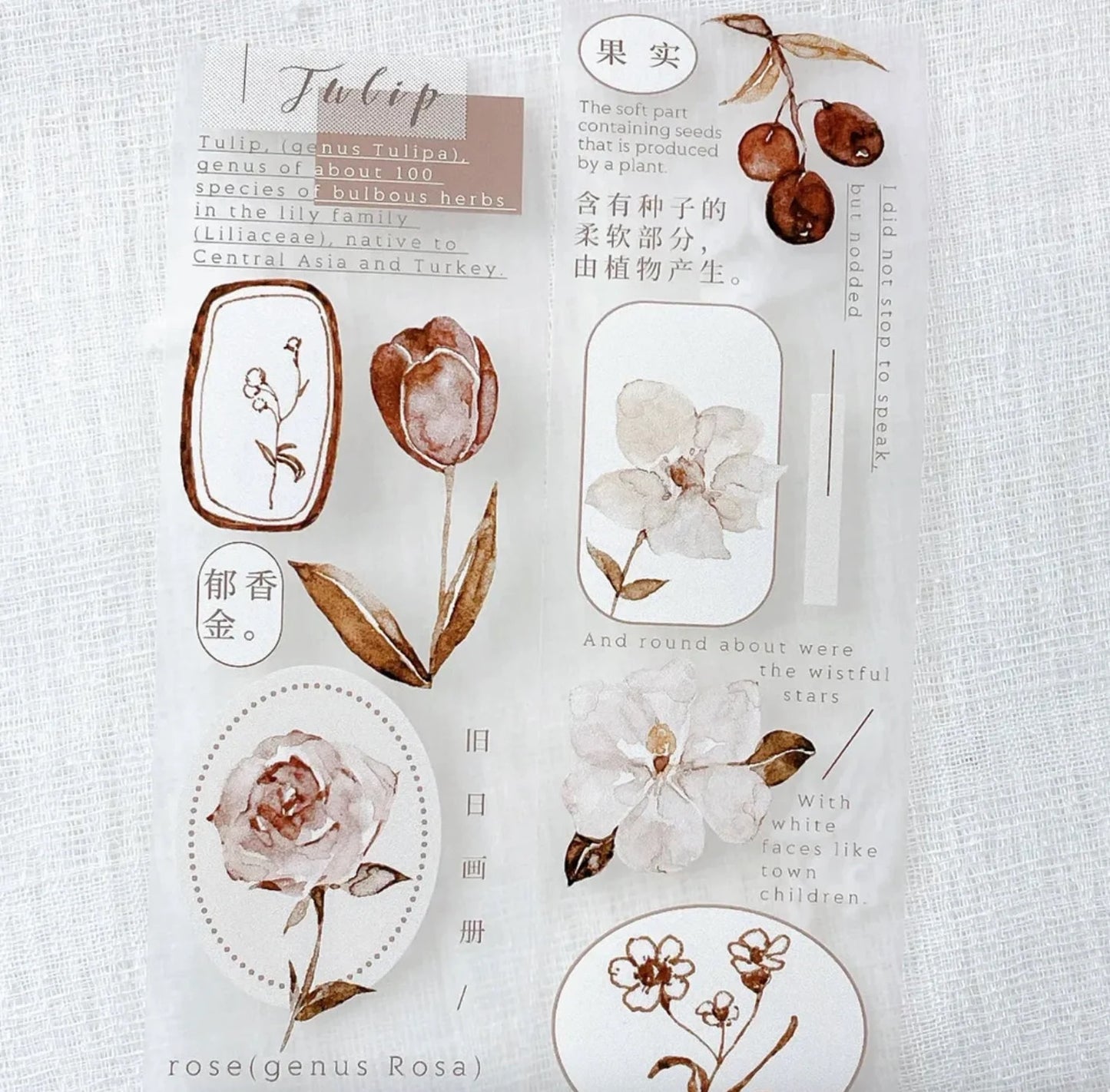 Freckles Tea PET Tape - Autumn Leaves